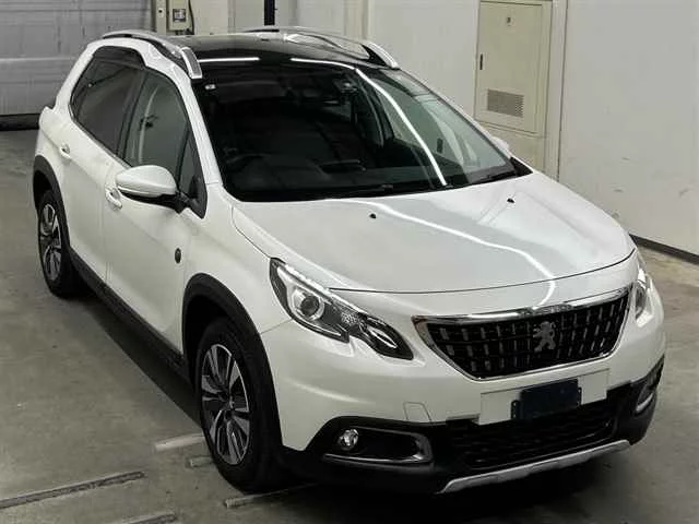 Peugeot 2008 A94HN01 2019
