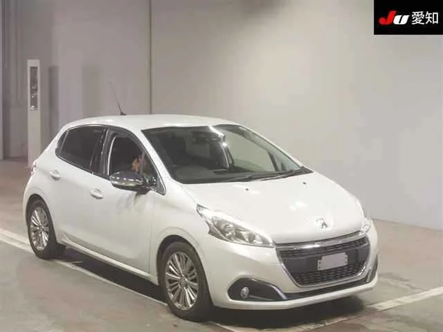 Peugeot 208 A9HN01 2019