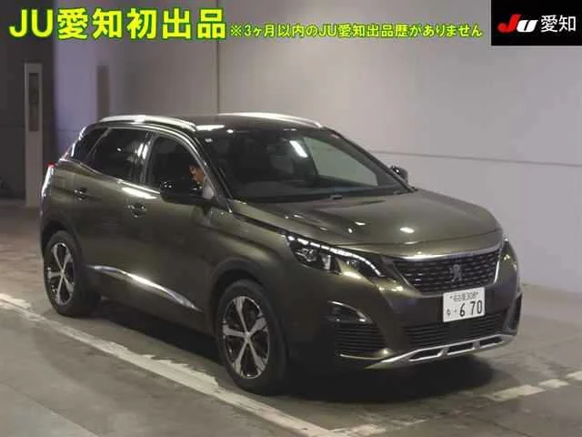 Peugeot 3008 P845G06 2020