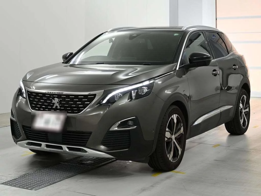 Peugeot 3008 P845G06 2019