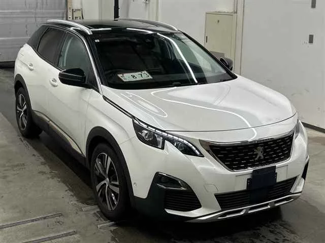 Peugeot 3008 P845G06 2019