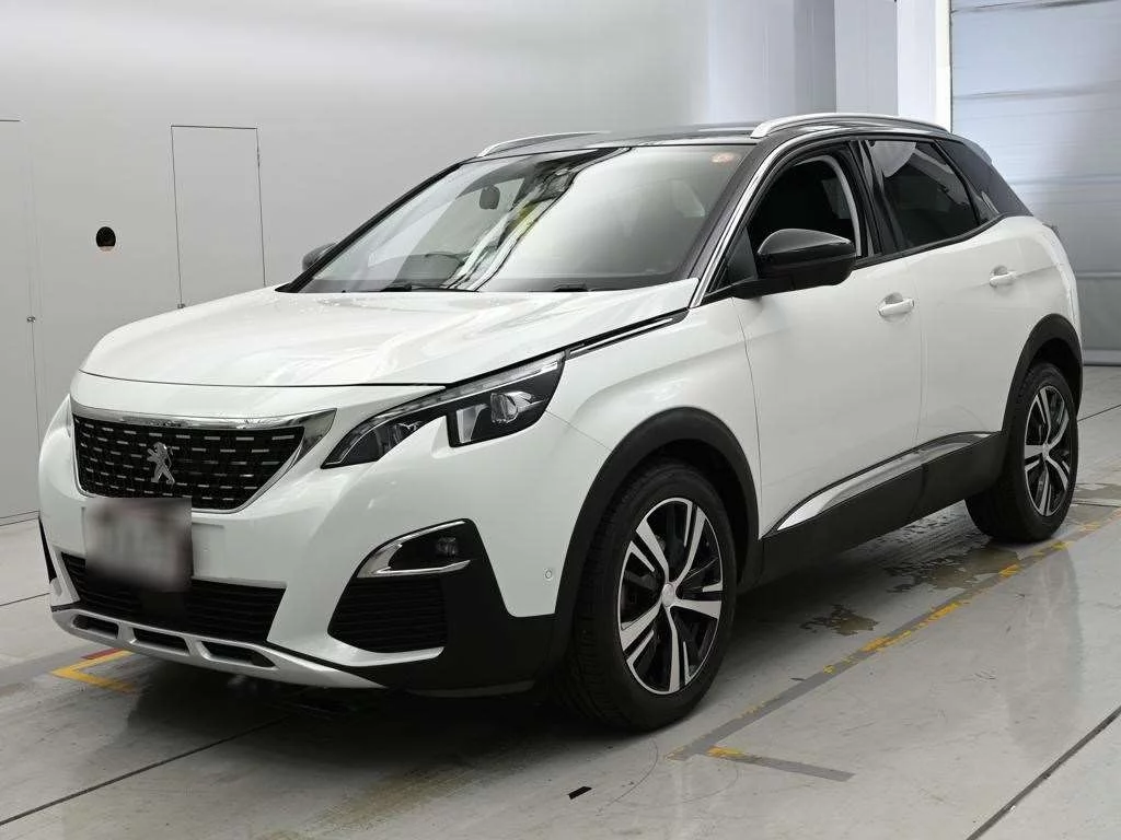 Peugeot 3008 P845G06 2019