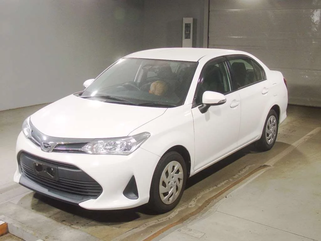 Toyota C-HR NGX10 2019