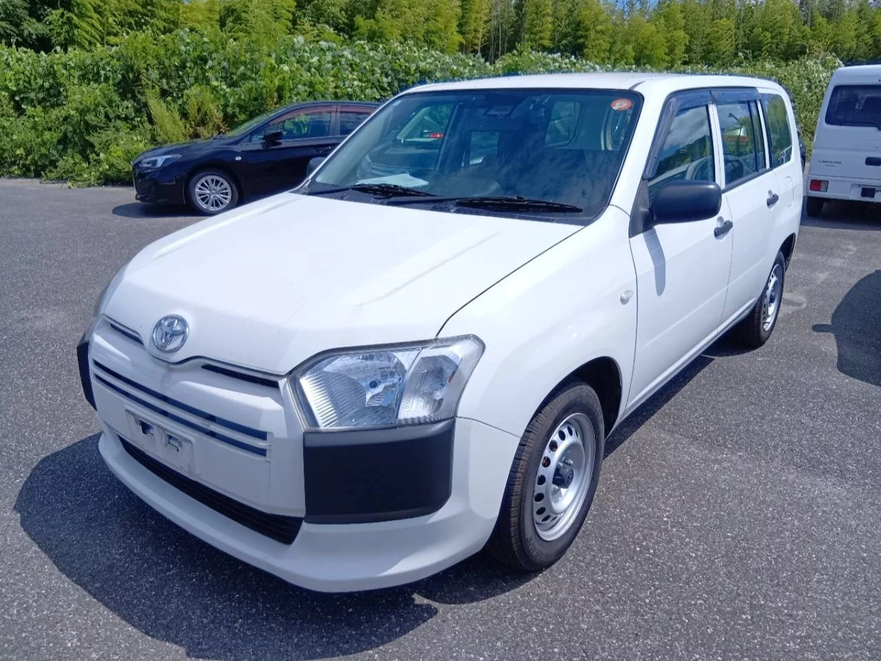 Toyota Probox NCP160V 2019